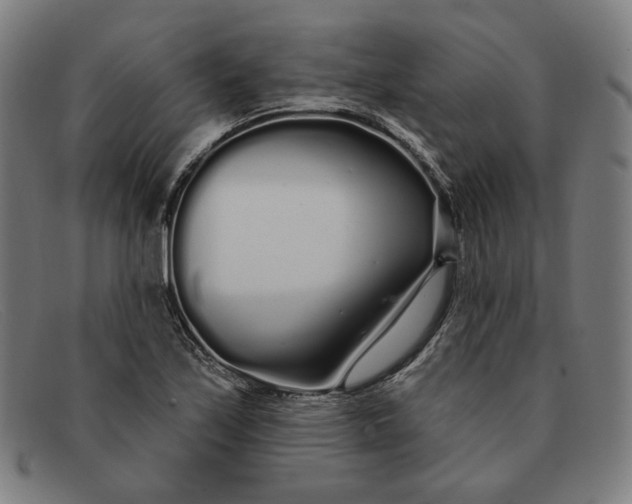 X0000091311171200708311351