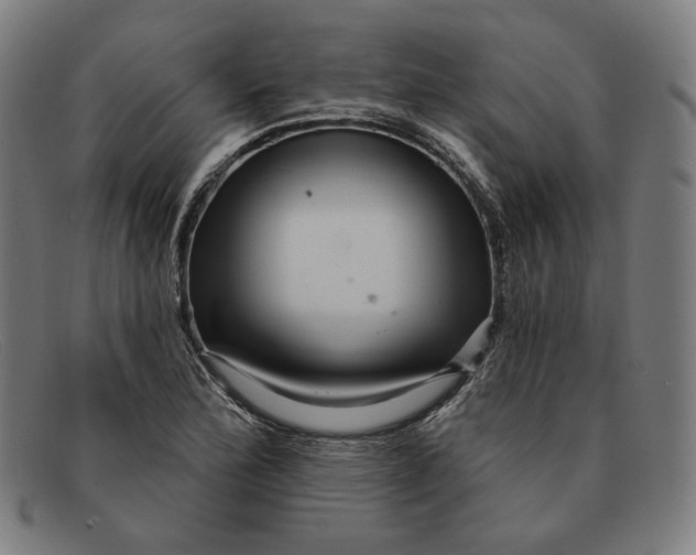 X0000091311172200708311351