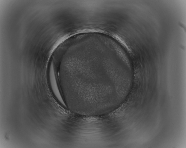 X0000091311173200708311351