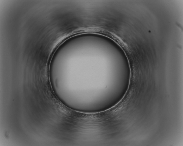 X0000091311174200708311351