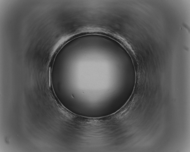 X0000091311175200708311351