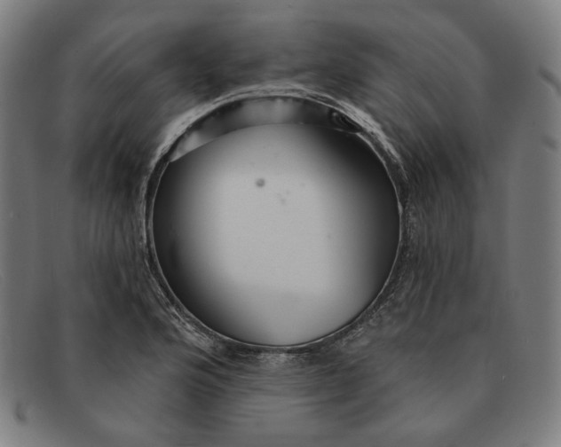 X0000091311176200708311351