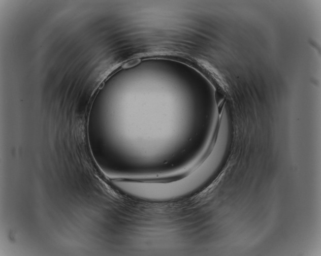 X0000091311177200708311351