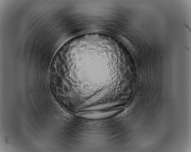 X0000091311178200708311351