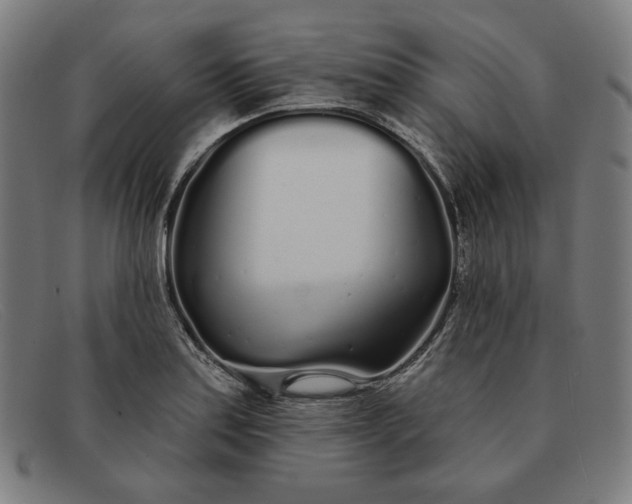 X0000091311179200708311351