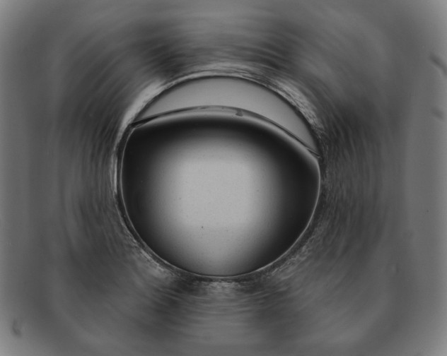 X0000091311180200708311351