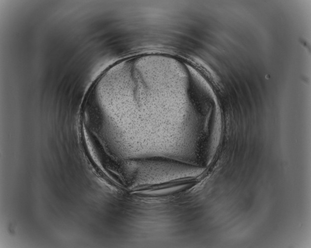 X0000091311182200708311350