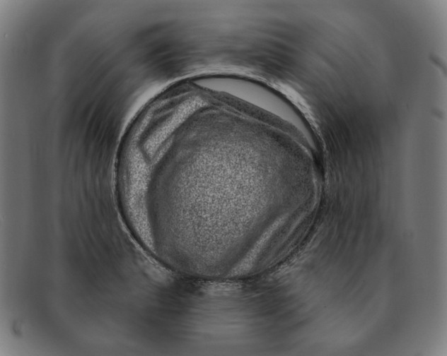 X0000091311183200708311350