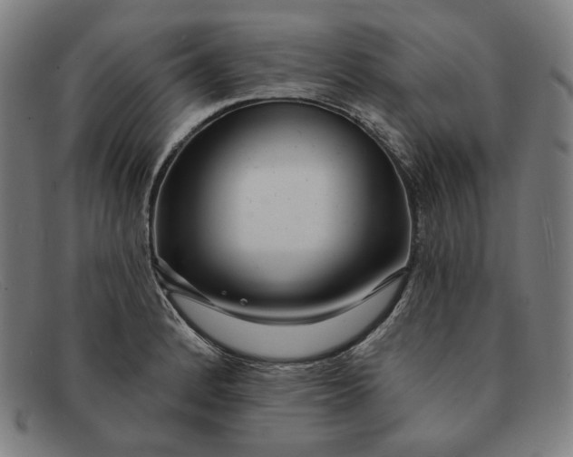 X0000091311184200708311350