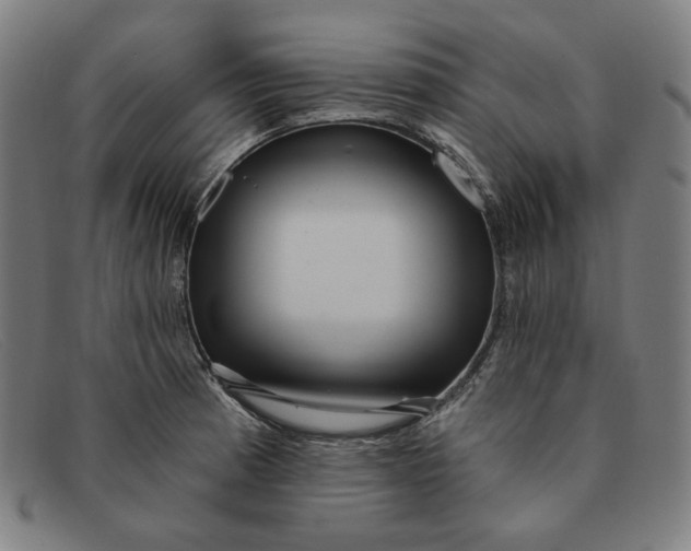 X0000091311185200708311350