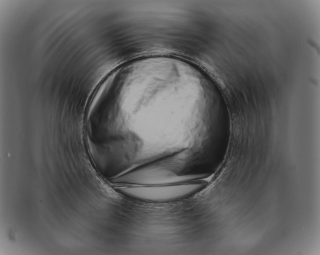 X0000091311186200708311350