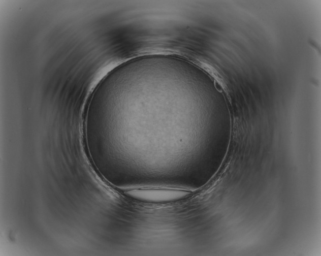 X0000091311187200708311350