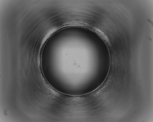 X0000091311188200708311350