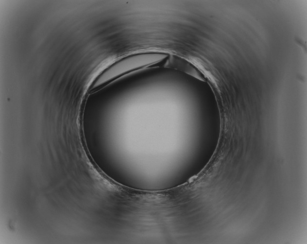 X0000091311189200708311350