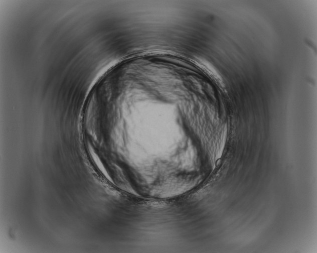 X0000091311190200708311350