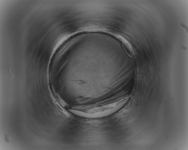 X0000091311191200708311350