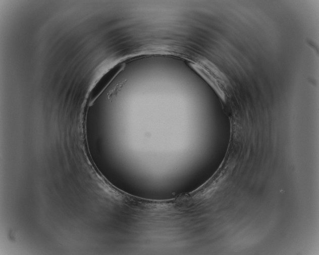 X0000091311192200708311350