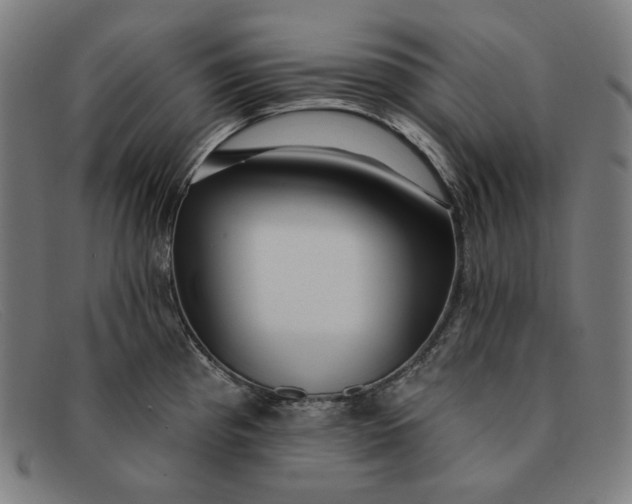 X0000091311193200708311350