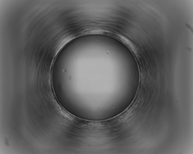 X0000091311194200708311350