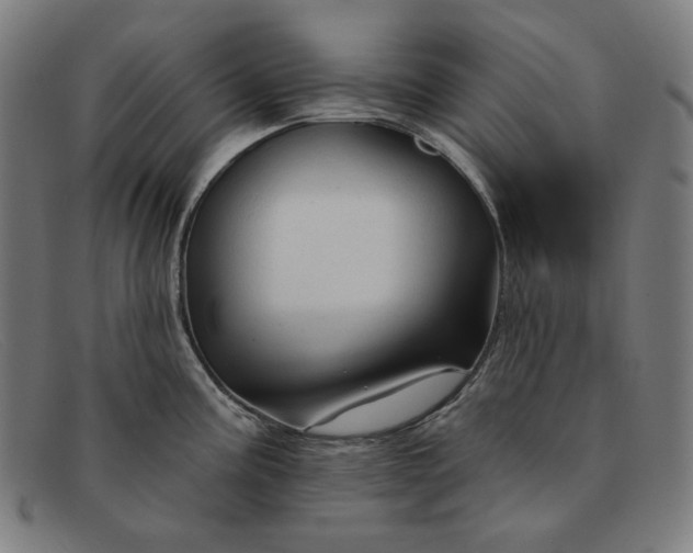 X0000091311195200708311350