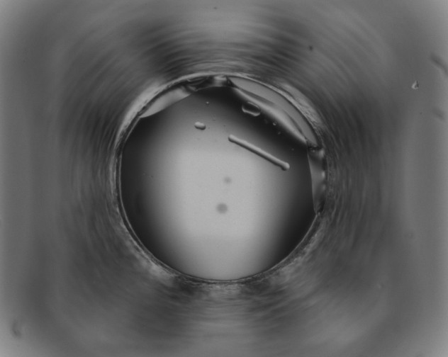 X0000091311196200708311350