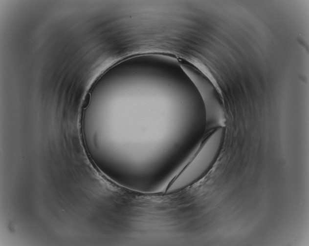 X0000091311197200708311350