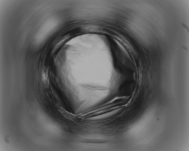 X0000091311198200708311350