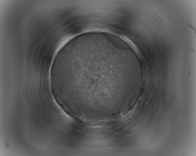 X0000091311199200708311350