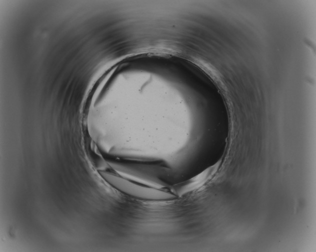 X0000091311200200708311350