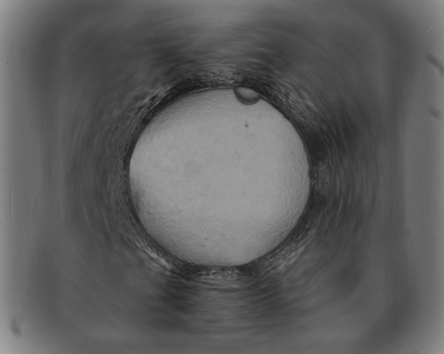 X0000091311201200708311350