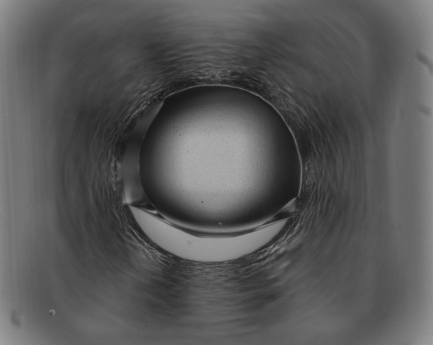 X0000091311202200708311350