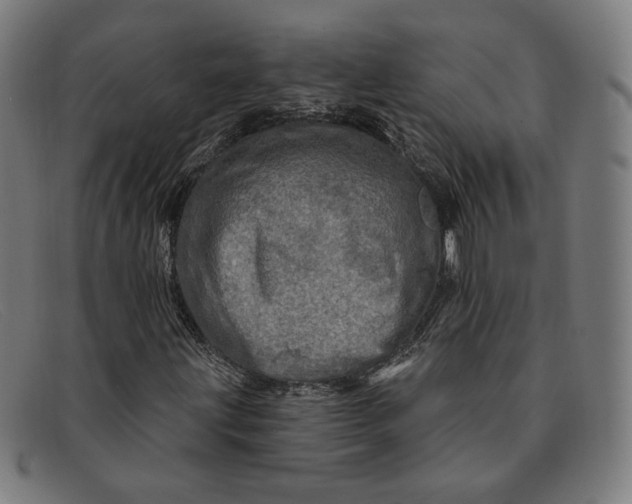 X0000091311203200708311350