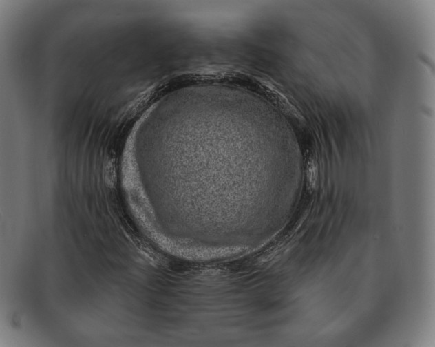 X0000091311204200708311350