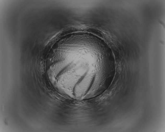 X0000091311205200708311350