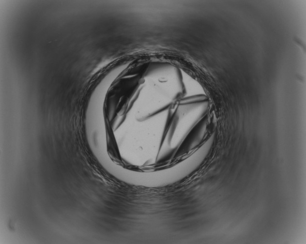 X0000091311206200708311350