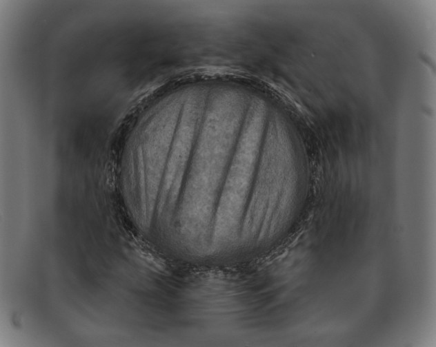 X0000091311207200708311350