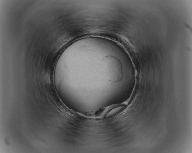 X0000091311209200708311350