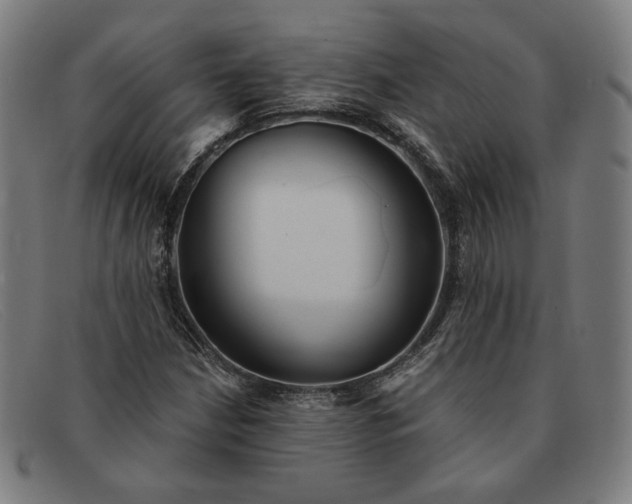 X0000091311210200708311350