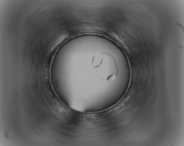 X0000091311211200708311350