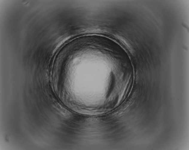 X0000091311212200708311350