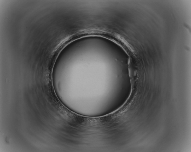 X0000091311213200708311350