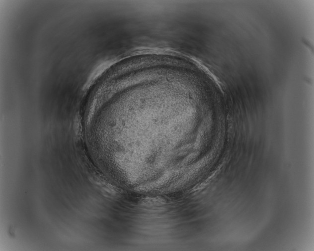 X0000091311215200708311350