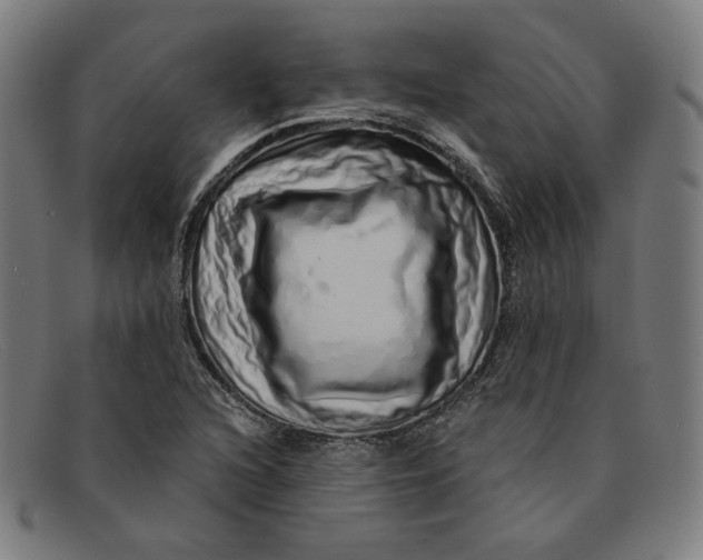 X0000091311216200708311350