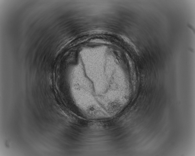 X0000091311217200708311350