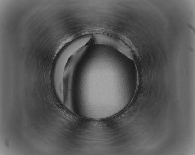 X0000091311218200708311350