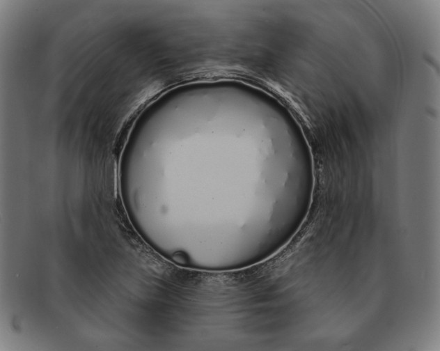 X0000091311219200708311350