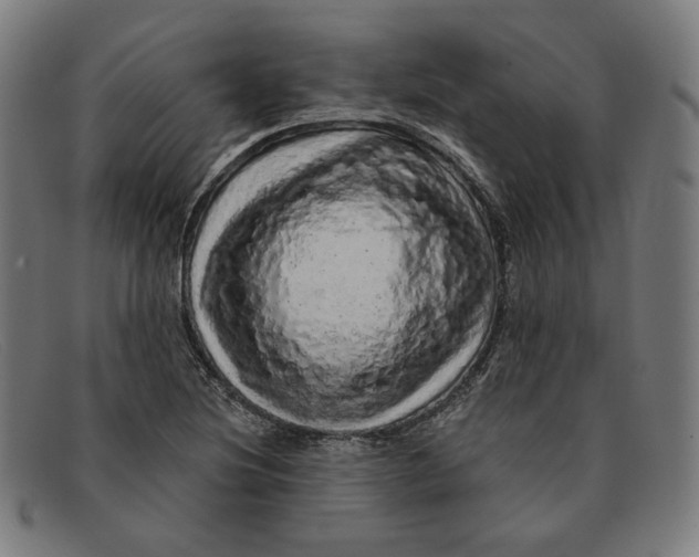 X0000091311220200708311350