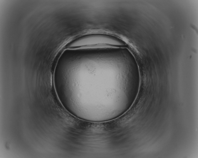 X0000091311221200708311350