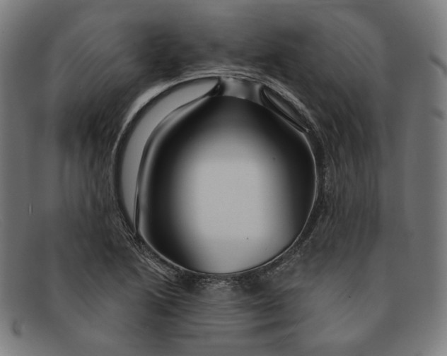 X0000091311222200708311350