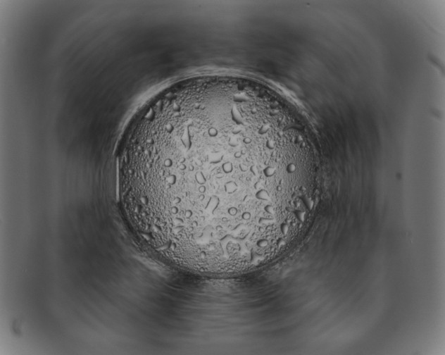 X0000091311223200708311350